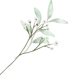 Professional food catering in Thrissur