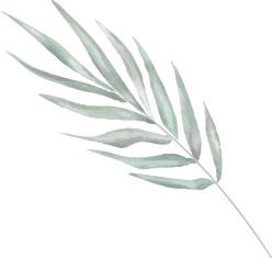 Professional food catering in Thrissur